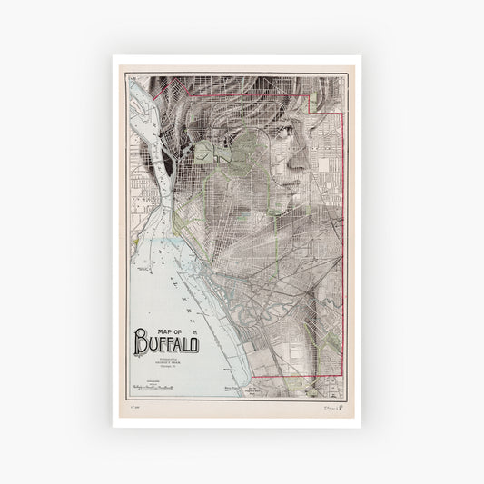 Buffalo II
